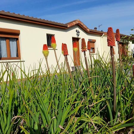 La Belle Maisonnette Montmorillon Exterior foto